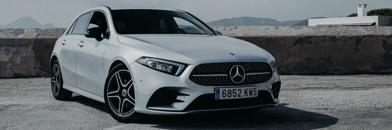 Why Does Artificial  Intelligence Keep an Eye on the Driver?